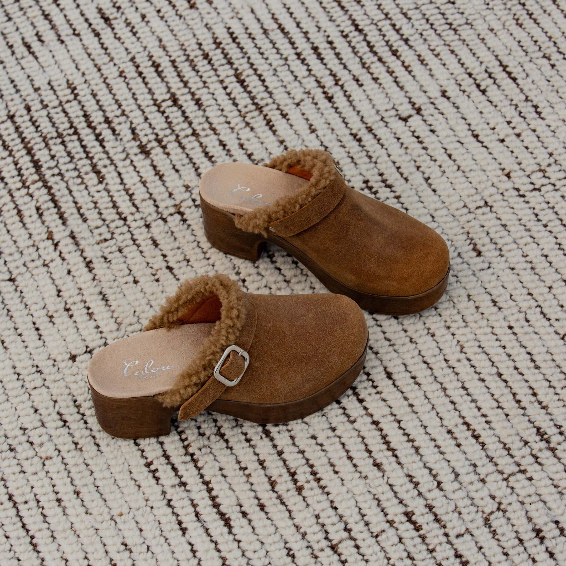 Pair of brown slippers with fur trim on a textured carpet